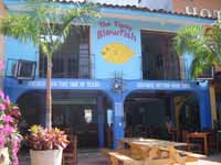 Tipsy Blowfish Bar